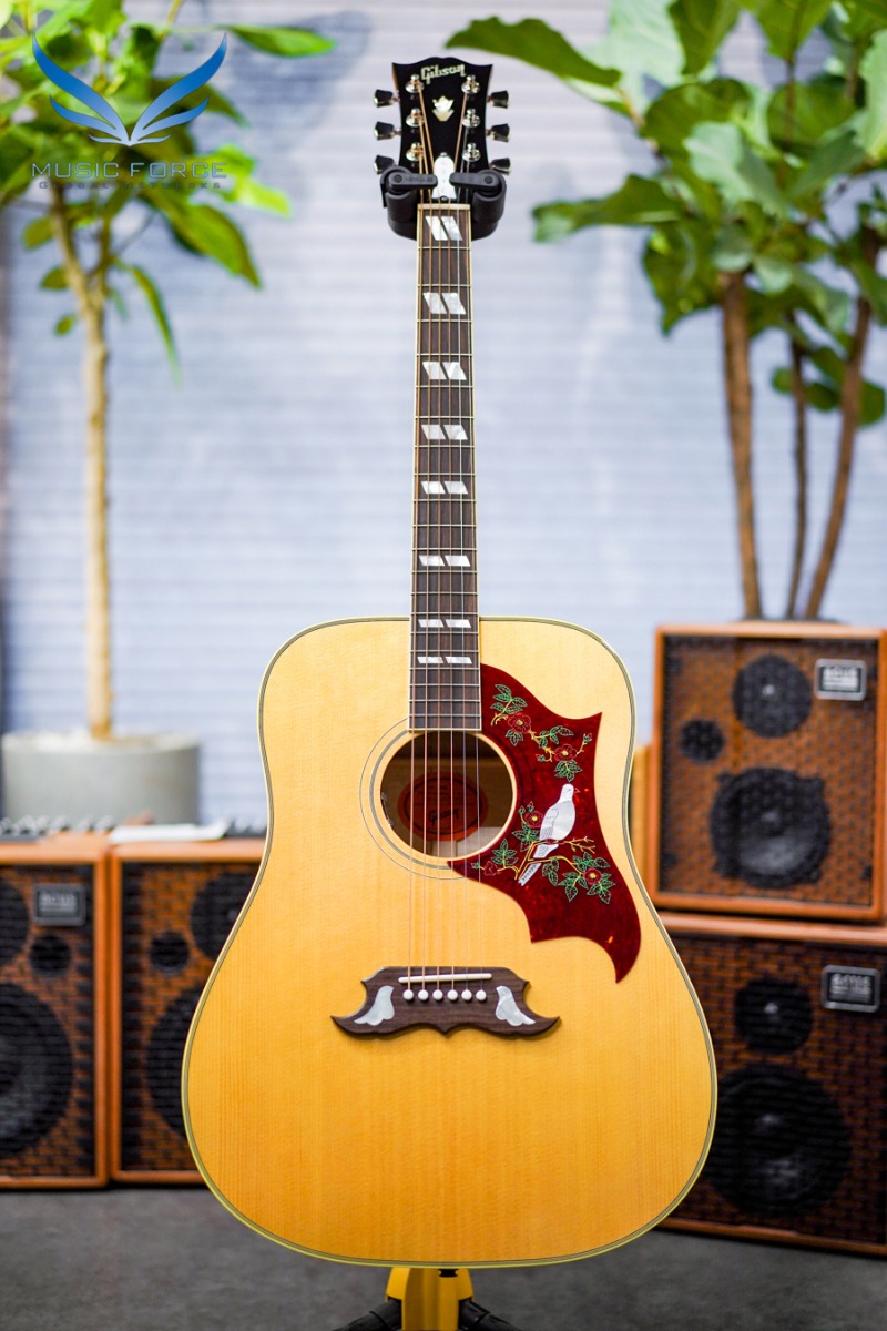 [깁슨 공식 딜러/실재고 보유/전화문의시 할인가능!!] Gibson Montana Dove Original-Antique Natural(신품) 깁슨 도브 오리지날 - 22240022